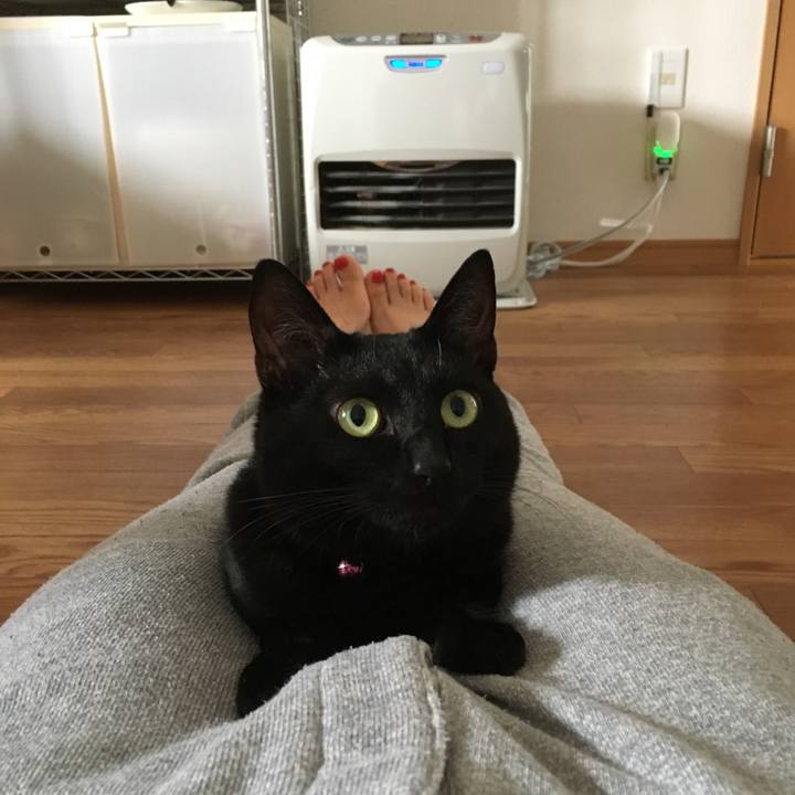 Ae4f5e1a f428 4cfa 9c94 e440fd1eb05f