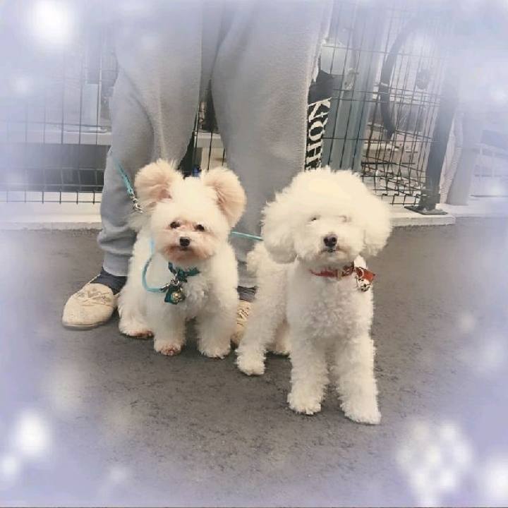 Ae4fc441 bfa6 46e9 8add 1be4af243000