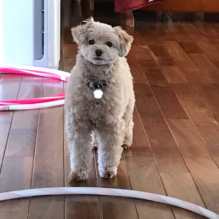 Ae4ff916 fc0b 48d5 9c0b 51e01a89138f