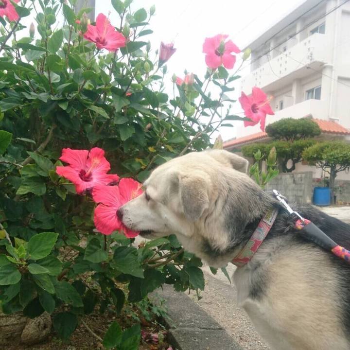 Ae5035ed 3c2c 4554 8e1f 50e6a1a03a0e