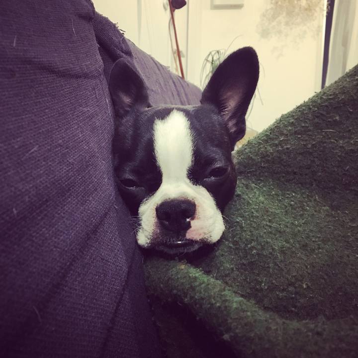 Ae50bb0b e9a8 4804 985b 91161e202a3f