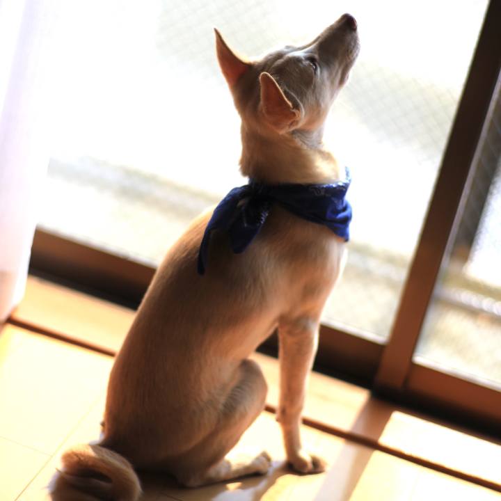 Ae51fb9c d887 4f17 8147 e6576a1ae614