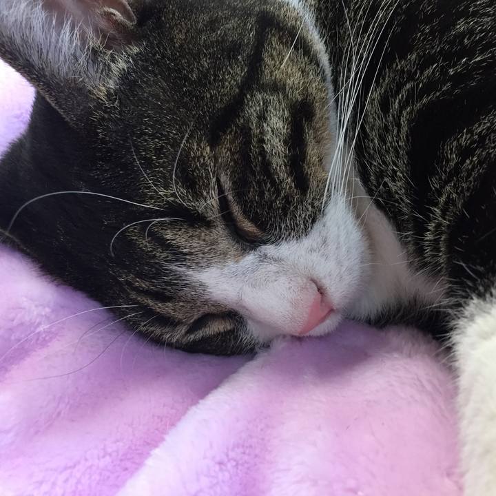 Ae5208b2 4881 4487 bd33 45d812bef8a8