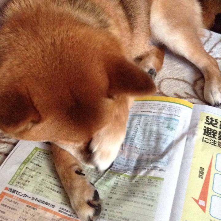 Ae526f65 26d6 4eab a5f1 8baaf194b149