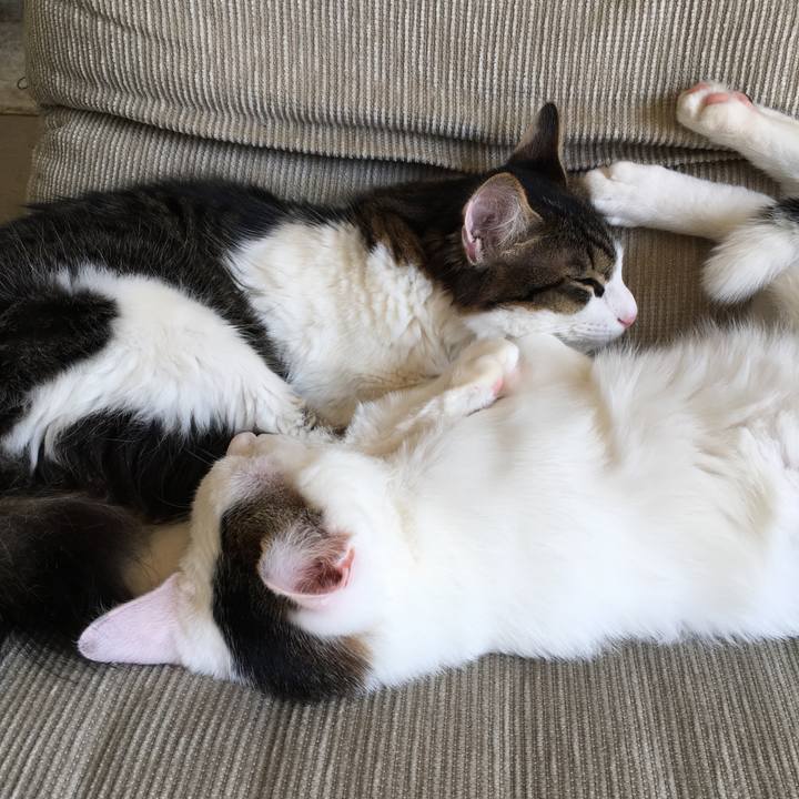 Ae527d23 9e48 4a4c 8180 6209fd1b36de