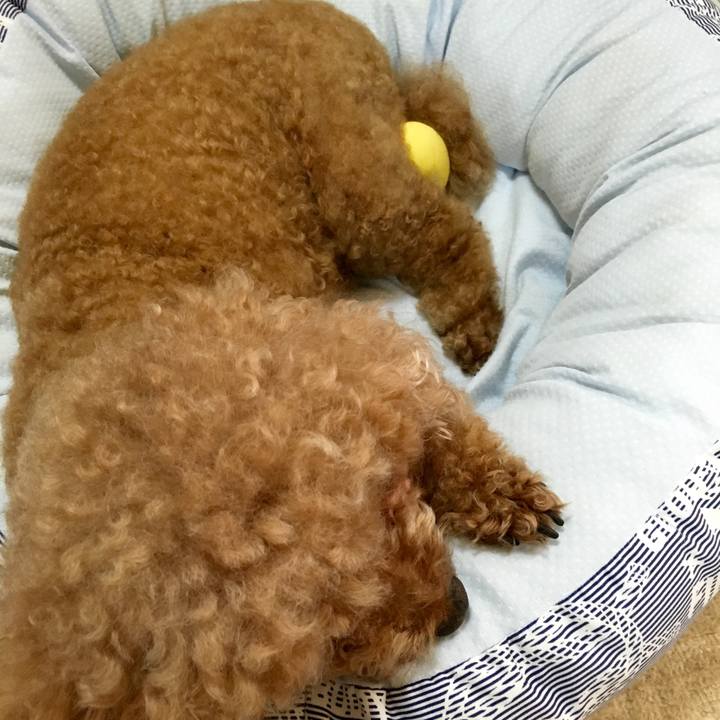 Ae531b21 0623 4897 a463 eb57a20a102d