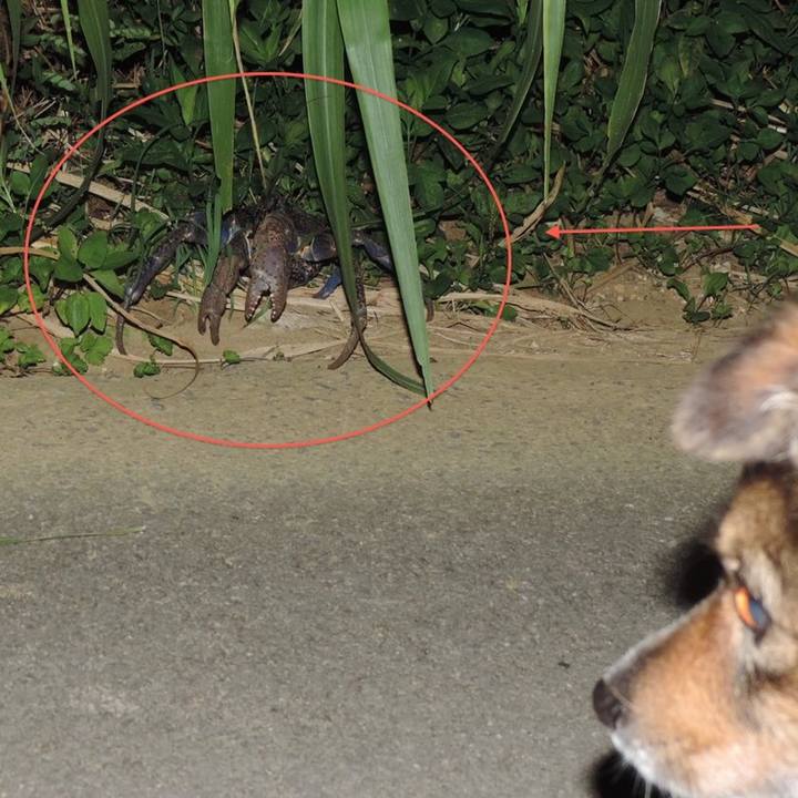 Ae535fdc f351 475e 931c 7319b82bfb98