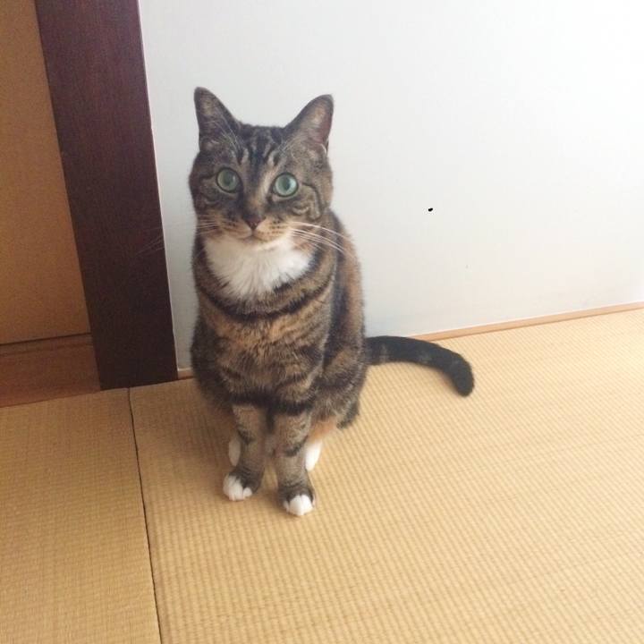 Ae537455 5ee1 4da4 b9aa 834351207a60