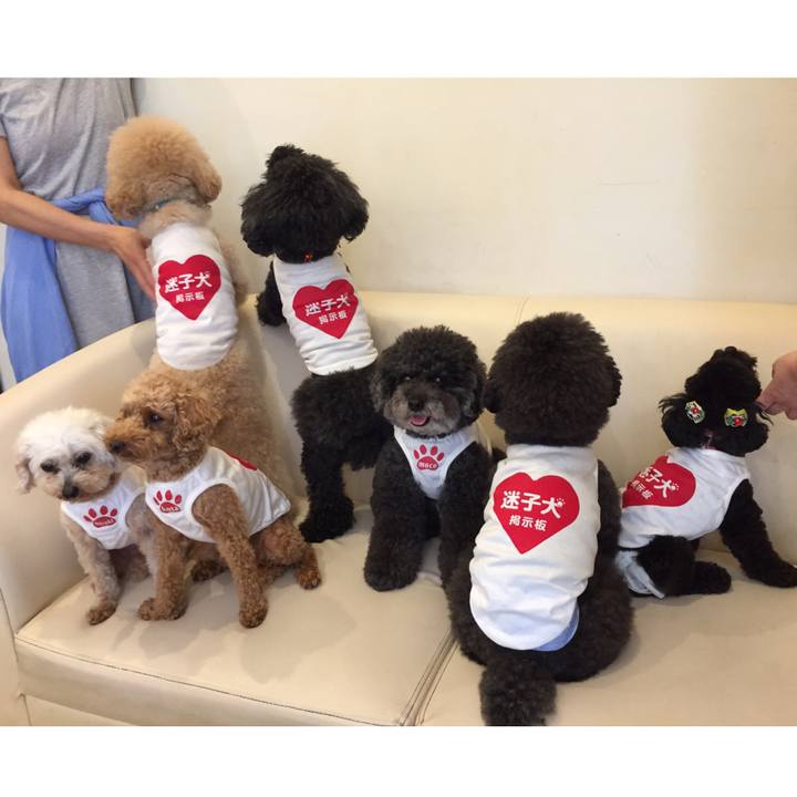 Ae539a55 174d 4021 a4d5 34dc21cfb32c