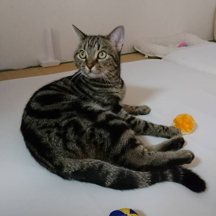 Ae53b9d3 c4df 422b b01f 234b7afc8cf6