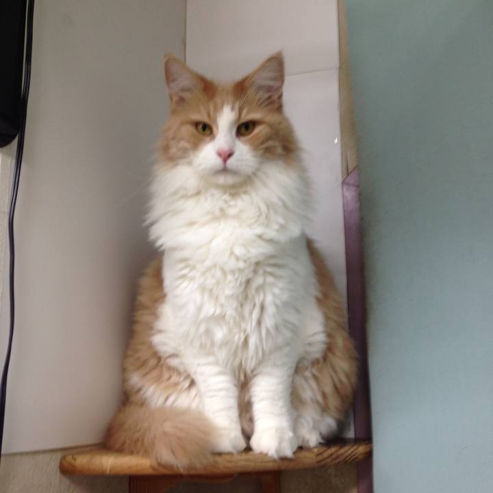 Ae551160 1a93 4756 a8ec 9eab5be947bf