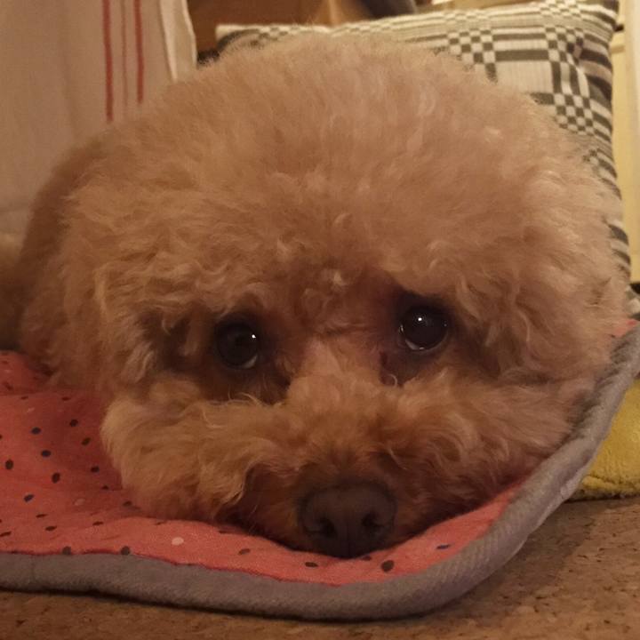 Ae552ec3 00e6 4951 9d4f 017495e87575