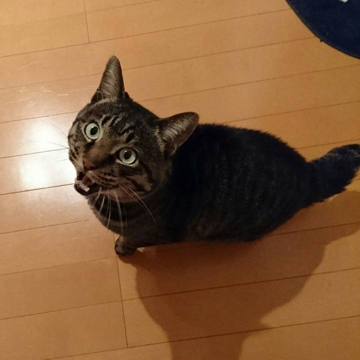 Ae556ff6 1b6e 4643 b348 d6f9ee796092