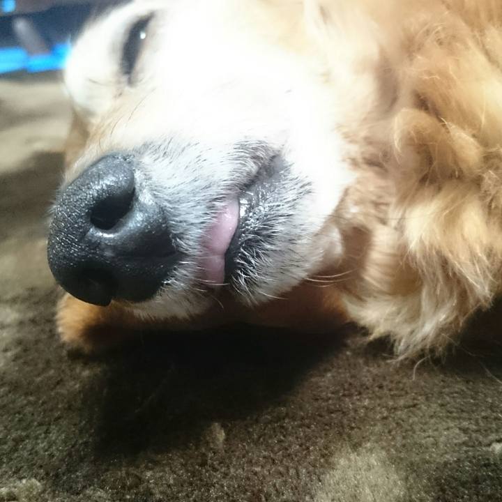 Ae55c04f 01a5 4f61 84de 1fb339ec7e59