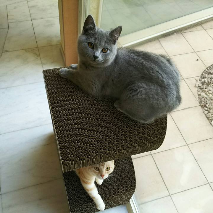 Ae55d8bd 1f3a 464a 9c42 58f87b73d95b