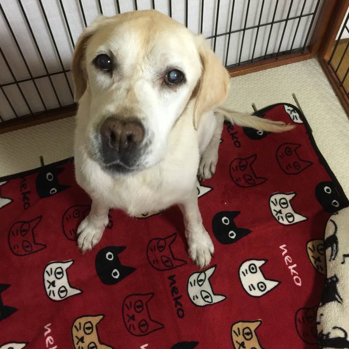 Ae565869 2905 4098 a683 5c56e253a856