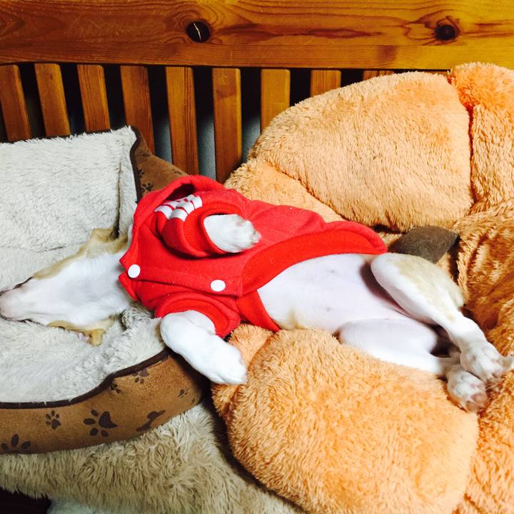 Ae56adce 2d0d 42bc 84d5 4ee813ad2bbf