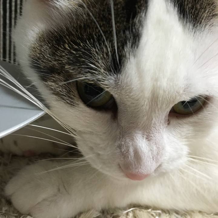 Ae570936 c6fa 4308 9d6b 0f467fc85470