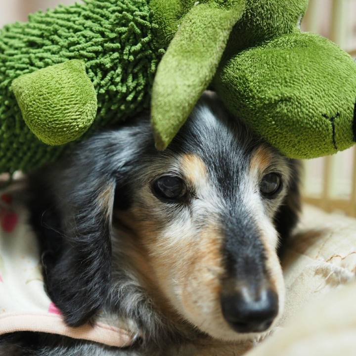 Ae570d96 ef09 4af9 b9dd 2bee80d6750d