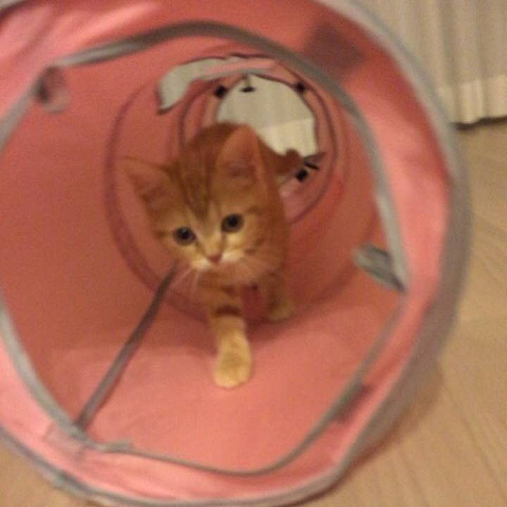 Ae574682 f651 4963 9459 79d36d494742