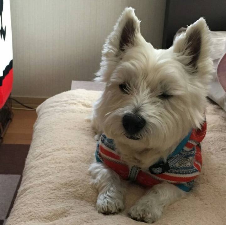 Ae57a467 c262 4b55 be04 2a8a78f3207d