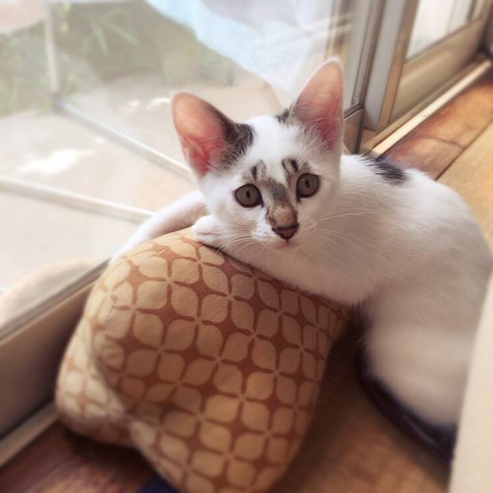 Ae57fa8a 1f40 400e b4fe 1d255bbe60da