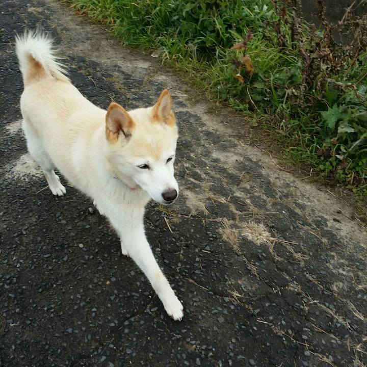 Ae580435 f66c 4e84 96f8 180ca57c2a98