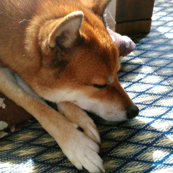 Ae580571 035b 41ab 9eca 62b051c5e6b3