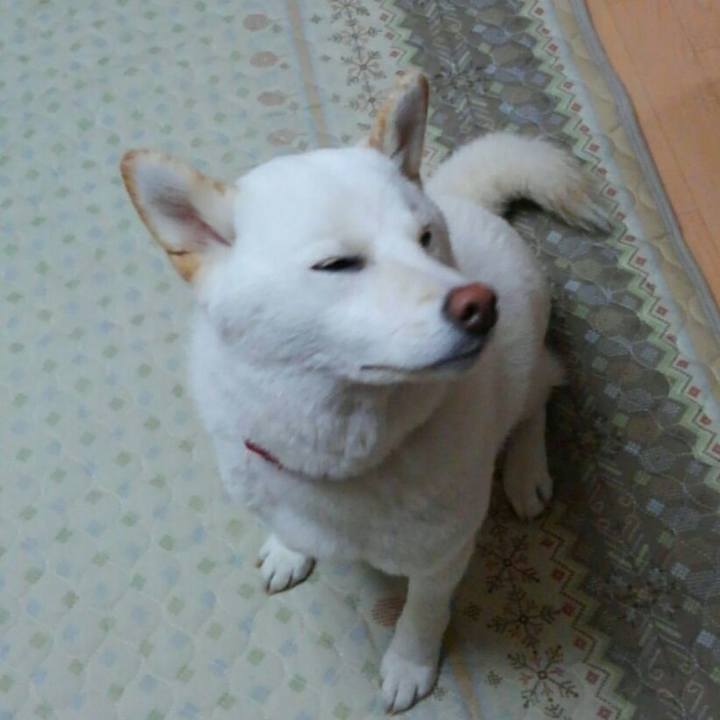 Ae584be5 a614 4165 ad85 025f5b0df894