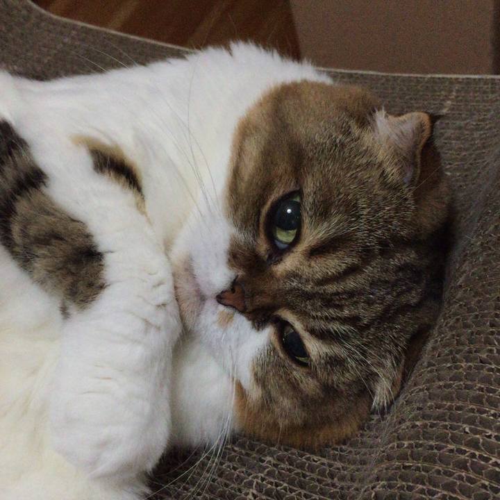 Ae593754 c271 4748 989c 6111687551c5