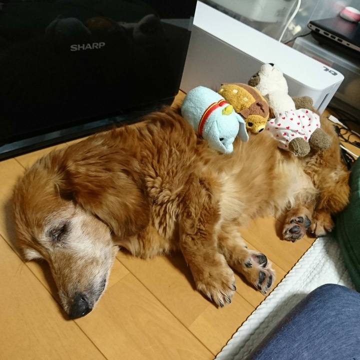 Ae5942cd 9cd0 4955 9f70 7c4497d58886