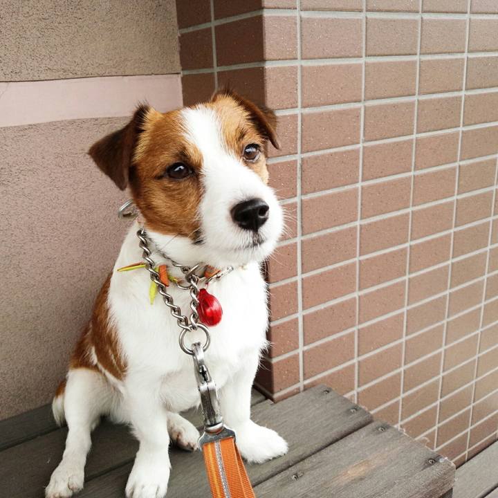 Ae59fd7a 271a 431e 84d8 85800a439b40