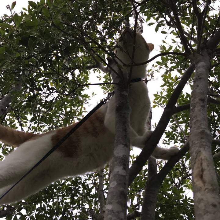 Ae5a7b86 e0fb 4788 af3b 67b400a6fb26