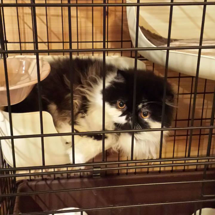 Ae5a7bde 162e 4f82 910a 211e9d09c268