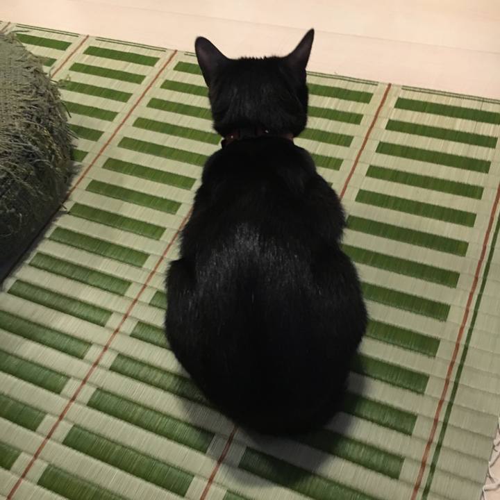 Ae5b5080 31d1 4ebc 82e7 b308c454924f