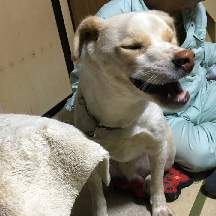 Ae5c178f cb74 4e44 a3eb 7ee2b60b807a