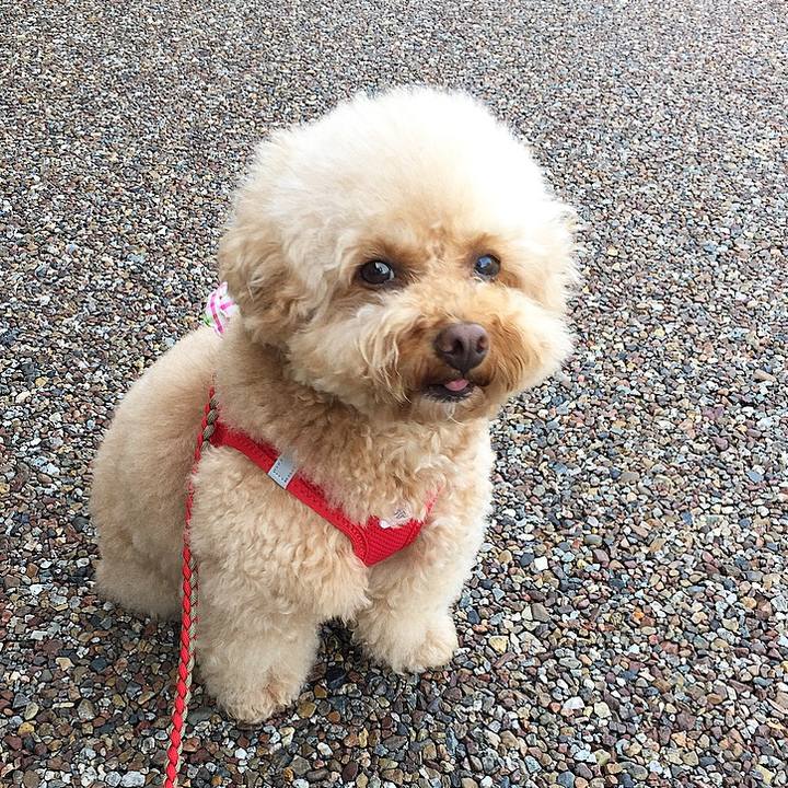 Ae5c77d0 59d3 4789 8212 fd4defe17e1e