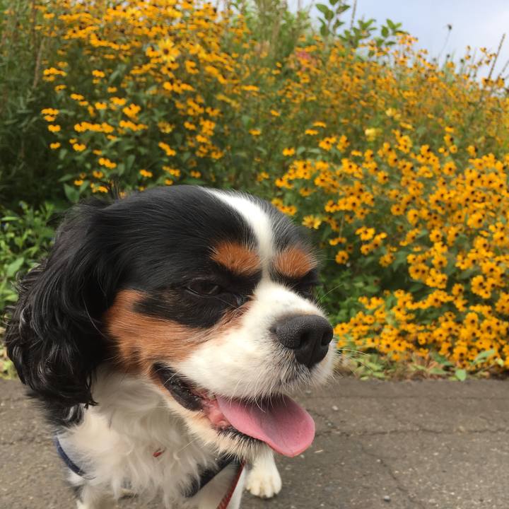 Ae5c83c5 f0cc 452f ad7c e8252386229d