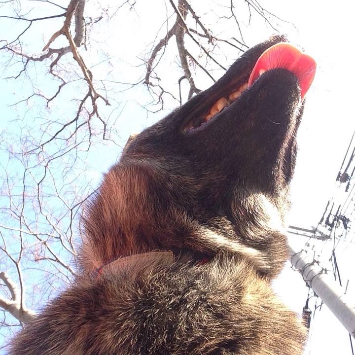 Ae5d2f7f bc62 4c90 8742 48358f82c7da