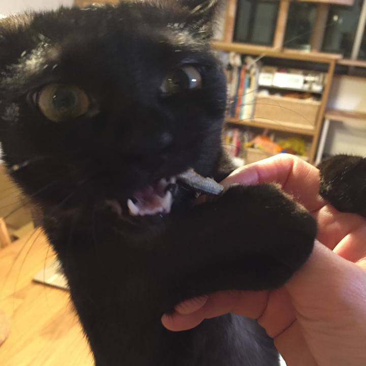 Ae5d7d8b 9478 4dd4 8de4 ac31d2b2badb