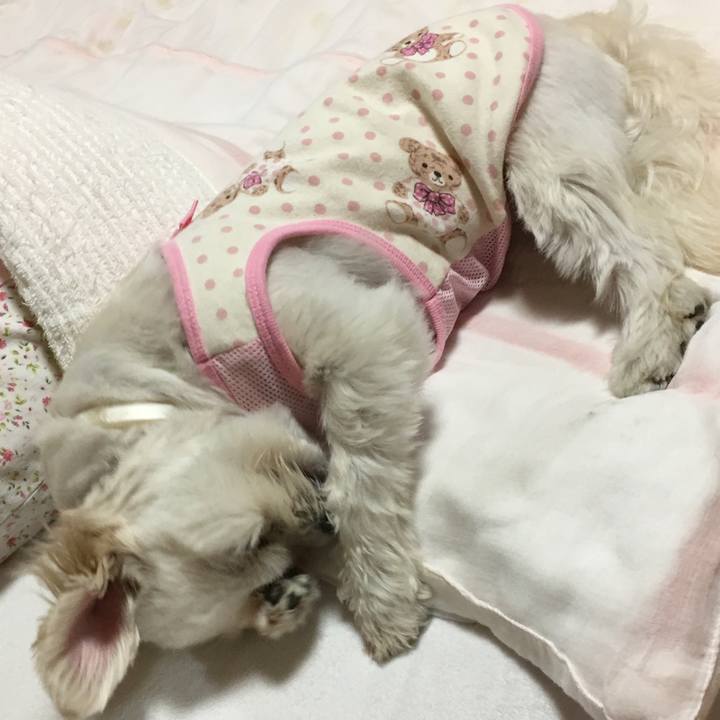 Ae5db1d8 8c68 4d85 a730 06e0595400d9