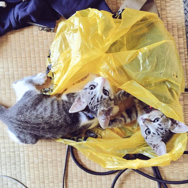 Ae5dc0f8 a622 4e2a 9ffc ccac7f5aa224