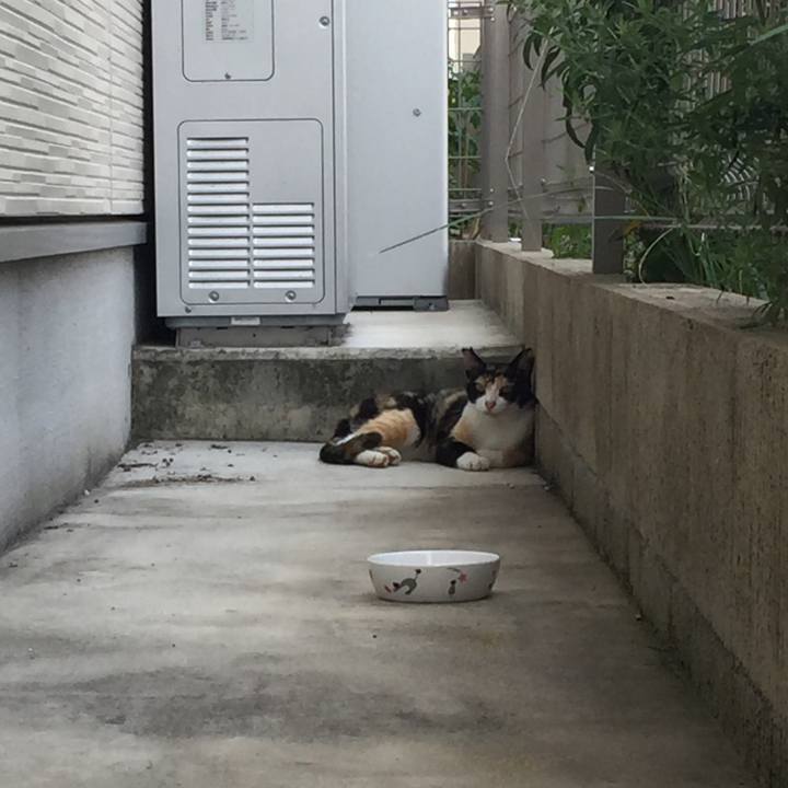 Ae5dc3d1 8dbb 4358 a4a2 9304af4e3cb7