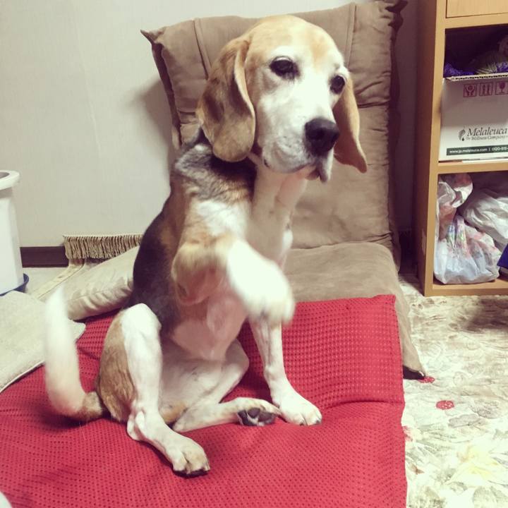 Ae5e6659 8edc 461a a46d c16f76ccdeaa