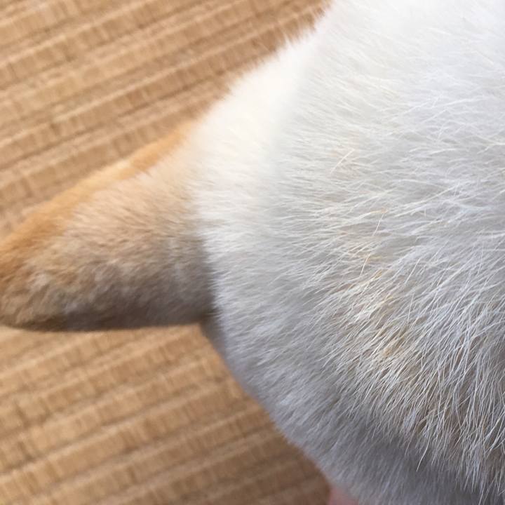 Ae5ecb60 98be 48ad a77c 364d0e57f5c5