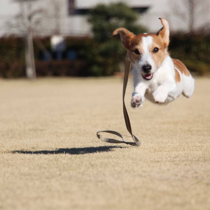 Ae5ed78b 2c5f 4c0d 8c84 87989bcd557b