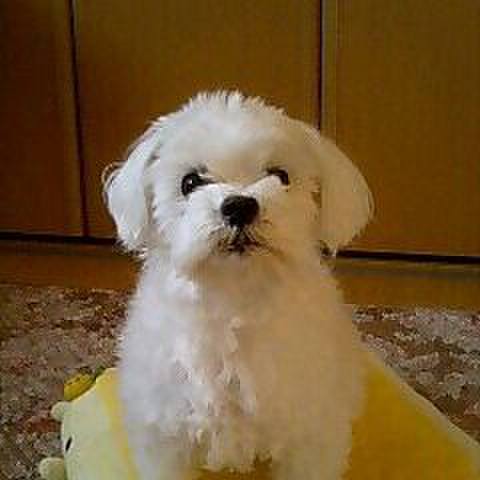 Ae5efd78 5e30 4f30 8ec3 9b4c52f22912