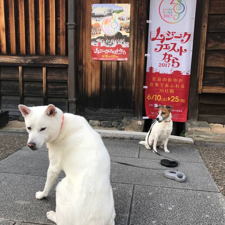 Ae5f159e 9058 4320 a3bc 0774f286e6f5