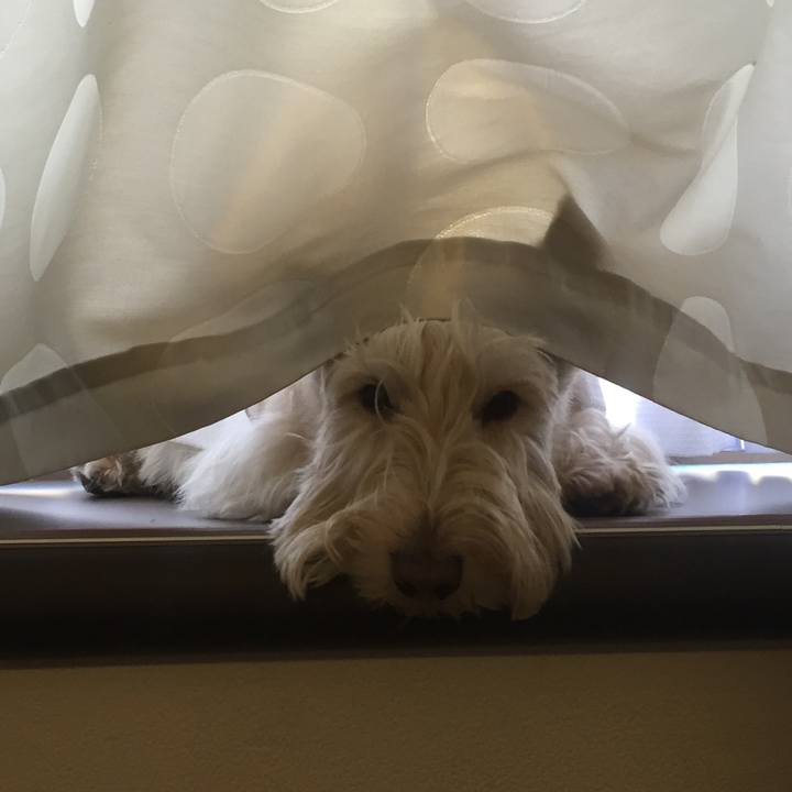 Ae6068b3 5bb5 4487 a84d 2c6f84f0ccc5