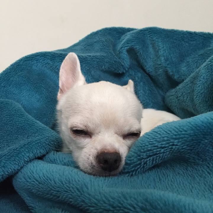 Ae61589b f4c6 427b 967c 9d5f2a6565a3